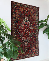 Antique Persian area rug in a living room setting, pile rug, vintage rug, portland, rug shop, bright colors, wild shaman, soft rug, bold color, Portland, Oregon, rug store, rug shop, local shop, antique rug, Persian rug, handmade rug, wool rug, distressed rug