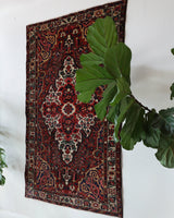 Antique Persian area rug in a living room setting, pile rug, vintage rug, portland, rug shop, bright colors, wild shaman, soft rug, bold color, Portland, Oregon, rug store, rug shop, local shop, antique rug, Persian rug, handmade rug, wool rug, distressed rug