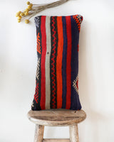 pillow, turkish pillow, kilim pillow, home decor, decorative pillow, sham, rug pillow, decor, home decor, pouf, floor cushion, cushion, Portland, rugshop, Oregon, Wild Shaman, ottoman, lumbar