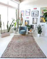 Vintage kilim rug in living room setting, old rug, antique rug, pastel colors, faded colors, Turkish rug, vintage rug, soft rug, Portland, Oregon, rug store, rug shop, local shop, earthy tones, earthy colors, warm colors