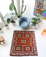 Vintage Turkish rug in a living room setting, pile rug, Turkish rug, vintage rug, portland, rug shop, bright colors, wild shaman, soft rug, bold color, Portland, Oregon, rug store, rug shop, local shop, antique rug