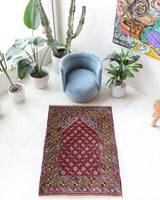 Vintage Turkish rug in living room setting, old rug, antique rug, pastel colors, faded colors, Turkish rug, vintage rug, soft rug, Portland, Oregon, rug store, rug shop, local shop