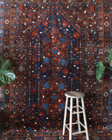 Antique Persian area rug in a living room setting, pile rug, vintage rug, portland, rug shop, bright colors, wild shaman, soft rug, bold color, Portland, Oregon, rug store, rug shop, local shop, antique rug, Persian rug, handmade rug, wool rug, distressed rug