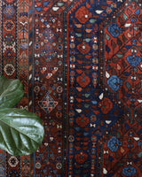 Antique Persian area rug in a living room setting, pile rug, vintage rug, portland, rug shop, bright colors, wild shaman, soft rug, bold color, Portland, Oregon, rug store, rug shop, local shop, antique rug, Persian rug, handmade rug, wool rug, distressed rug