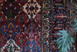 Antique Persian area rug in a living room setting, pile rug, vintage rug, portland, rug shop, bright colors, wild shaman, soft rug, bold color, Portland, Oregon, rug store, rug shop, local shop, antique rug, Persian rug, handmade rug, wool rug, distressed rug