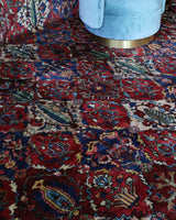 Antique Persian area rug in a living room setting, pile rug, vintage rug, portland, rug shop, bright colors, wild shaman, soft rug, bold color, Portland, Oregon, rug store, rug shop, local shop, antique rug, Persian rug, handmade rug, wool rug, distressed rug