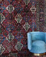 Antique Persian area rug in a living room setting, pile rug, vintage rug, portland, rug shop, bright colors, wild shaman, soft rug, bold color, Portland, Oregon, rug store, rug shop, local shop, antique rug, Persian rug, handmade rug, wool rug, distressed rug
