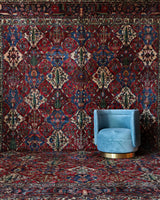 Antique Persian area rug in a living room setting, pile rug, vintage rug, portland, rug shop, bright colors, wild shaman, soft rug, bold color, Portland, Oregon, rug store, rug shop, local shop, antique rug, Persian rug, handmade rug, wool rug, distressed rug