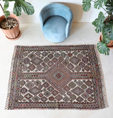 Vintage kilim rug in living room setting, old rug, antique rug, pastel colors, faded colors, Turkish rug, vintage rug, soft rug, Portland, Oregon, rug store, rug shop, local shop, earthy tones, earthy colors, warm colors