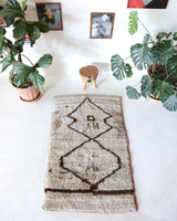 Vintage Turkish rug in a living room setting, pile rug, Turkish rug, vintage rug, portland, rug shop, bright colors, wild shaman, soft rug, bold color, Portland, Oregon, rug store, rug shop, local shop, shag rug, shaggy, plush,tulu rugs