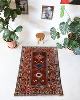 Vintage Turkish rug in a living room setting, pile rug, Turkish rug, vintage rug, portland, rug shop, bright colors, wild shaman, soft rug, bold color, Portland, Oregon, rug store, rug shop, local shop, antique rug