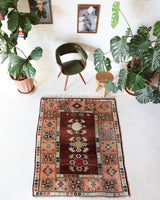 Vintage Turkish rug in a living room setting, pile rug, Turkish rug, vintage rug, portland, rug shop, bright colors, wild shaman, soft rug, bold color, Portland, Oregon, rug store, rug shop, local shop, antique rug