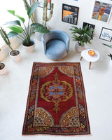 Vintage Turkish rug in a living room setting, pile rug, Turkish rug, vintage rug, portland, rug shop, bright colors, wild shaman, soft rug, bold color, Portland, Oregon, rug store, rug shop, local shop, antique rug