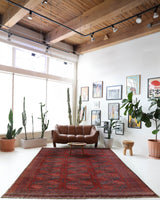Antique Turkmen rug in a living room setting, pile rug, Turkish rug, vintage rug, portland, rug shop, bright colors, wild shaman, soft rug, bold color, Portland, Oregon, rug store, rug shop, local shop, antique rug