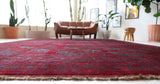 Antique Turkmen rug in a living room setting, pile rug, Turkish rug, vintage rug, portland, rug shop, bright colors, wild shaman, soft rug, bold color, Portland, Oregon, rug store, rug shop, local shop, antique rug