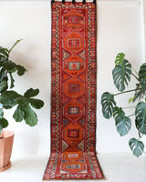 Vintage Turkish runner rug in a living room setting, pile rug, Turkish rug, vintage rug, portland, rug shop, bright colors, wild shaman, soft rug, bold color, Portland, Oregon, rug store, rug shop, local shop