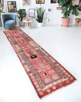 Vintage Turkish runner rug in a living room setting, pile rug, Turkish rug, vintage rug, portland, rug shop, bright colors, wild shaman, soft rug, bold color, Portland, Oregon, rug store, rug shop, local shop