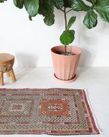 Vintage Turkish runner rug in living room setting, old rug, antique rug, pastel colors, faded colors, Turkish rug, vintage rug, soft rug, Portland, Oregon, rug store, rug shop, local shop