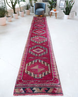 Vintage Turkish runner rug in a living room setting, pile rug, Turkish rug, vintage rug, portland, rug shop, bright colors, wild shaman, soft rug, bold color, Portland, Oregon, rug store, rug shop, local shop