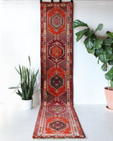Vintage Turkish runner rug in a living room setting, pile rug, Turkish rug, vintage rug, portland, rug shop, bright colors, wild shaman, soft rug, bold color, Portland, Oregon, rug store, rug shop, local shop