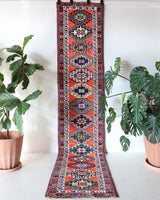 Vintage Turkish runner rug in a living room setting, pile rug, Turkish rug, vintage rug, portland, rug shop, bright colors, wild shaman, soft rug, bold color, Portland, Oregon, rug store, rug shop, local shop