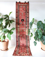 Vintage Turkish runner rug in a living room setting, pile rug, Turkish rug, vintage rug, portland, rug shop, bright colors, wild shaman, soft rug, bold color, Portland, Oregon, rug store, rug shop, local shop