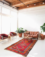 pile rug, Turkish rug, vintage rug, portland, rug shop, bright colors, wild shaman, soft rug, bold color, Portland, Oregon, rug store, rug shop, local shop