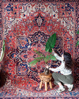 Vintage Persian rug in a living room setting, pile rug, Turkish rug, vintage rug, portland, rug shop, bright colors, wild shaman, soft rug, bold color, Portland, Oregon, rug store, rug shop, local shop, soft rug, pastel colors, faded colors, Persian rug, antique rug