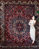 Antique Persian area rug in a living room setting, pile rug, vintage rug, portland, rug shop, bright colors, wild shaman, soft rug, bold color, Portland, Oregon, rug store, rug shop, local shop, antique rug, Persian rug, handmade rug, wool rug