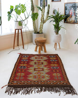 pile rug, Turkish rug, vintage rug, portland, rug shop, bright colors, wild shaman, area rug, red rug, mini rug, bold color, Portland, Oregon, rug store, rug shop, local shop, flat weave, kilim rug