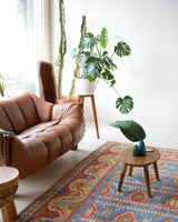 Vintage Turkish rug in a living room setting, pile rug, Turkish rug, vintage rug, portland, rug shop, bright colors, wild shaman, soft rug, bold color, Portland, Oregon, rug store, rug shop, local shop, antique rug,