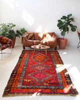 pile rug, Turkish rug, vintage rug, portland, rug shop, bright colors, wild shaman, soft rug, bold color, Portland, Oregon, rug store, rug shop, local shop