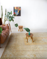 Area rug in a living room setting, pile rug, Turkish rug, old rug, antique rug, pastel colors, faded colors, Turkish rug, vintage rug, soft rug, Portland, Oregon, rug store, rug shop, local shop, warm colors