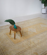 Area rug in a living room setting, pile rug, Turkish rug, old rug, antique rug, pastel colors, faded colors, Turkish rug, vintage rug, soft rug, Portland, Oregon, rug store, rug shop, local shop, warm colors