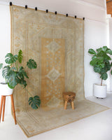 Area rug in a living room setting, pile rug, Turkish rug, old rug, antique rug, pastel colors, faded colors, Turkish rug, vintage rug, soft rug, Portland, Oregon, rug store, rug shop, local shop, warm colors