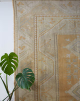 Area rug in a living room setting, pile rug, Turkish rug, old rug, antique rug, pastel colors, faded colors, Turkish rug, vintage rug, soft rug, Portland, Oregon, rug store, rug shop, local shop, warm colors