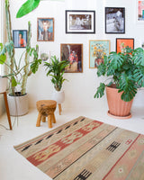 Vintage kilim rug in living room setting, old rug, antique rug, pastel colors, faded colors, Turkish rug, vintage rug, soft rug, Portland, Oregon, rug store, rug shop, local shop, earthy tones, earthy colors, warm colors, flat weave