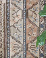 Area rug in a living room setting, pile rug, Turkish rug, old rug, antique rug, pastel colors, faded colors, Turkish rug, vintage rug, soft rug, Portland, Oregon, rug store, rug shop, local shop, pastel colors, warm colors