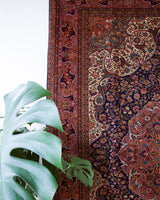 Vintage Turkish rug in a living room setting, pile rug, Turkish rug, vintage rug, portland, rug shop, bright colors, wild shaman, soft rug, bold color, Portland, Oregon, rug store, rug shop, local shop, antique rug