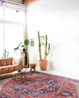 Vintage Persian rug in a living room setting, pile rug, Turkish rug, vintage rug, portland, rug shop, bright colors, wild shaman, soft rug, bold color, Portland, Oregon, rug store, rug shop, local shop, soft rug, pastel colors, faded colors, Persian rug, antique rug