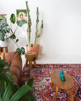 Vintage Persian rug in a living room setting, pile rug, Turkish rug, vintage rug, portland, rug shop, bright colors, wild shaman, soft rug, bold color, Portland, Oregon, rug store, rug shop, local shop, soft rug, pastel colors, faded colors, Persian rug, antique rug