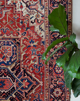 Vintage Persian rug in a living room setting, pile rug, Turkish rug, vintage rug, portland, rug shop, bright colors, wild shaman, soft rug, bold color, Portland, Oregon, rug store, rug shop, local shop, soft rug, pastel colors, faded colors, Persian rug, antique rug