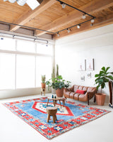 pile rug, Turkish rug, vintage rug, portland, rug shop, bright colors, wild shaman, soft rug, bold color, Portland, Oregon, rug store, rug shop, local shop