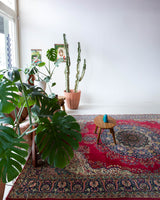 Vintage Turkish rug in a living room setting, pile rug, Turkish rug, vintage rug, portland, rug shop, bright colors, wild shaman, soft rug, bold color, Portland, Oregon, rug store, rug shop, local shop, antique rug,  carpet, ottoman design, floral carpet, traditional carpet, oriental rug