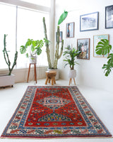 Vintage Turkish rug in a living room setting, pile rug, Turkish rug, vintage rug, portland, rug shop, bright colors, wild shaman, soft rug, bold color, Portland, Oregon, rug store, rug shop, local shop, antique rug