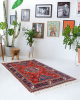 Vintage Turkish rug in a living room setting, pile rug, Turkish rug, vintage rug, portland, rug shop, bright colors, wild shaman, soft rug, bold color, Portland, Oregon, rug store, rug shop, local shop, antique rug