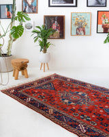 Vintage Turkish rug in a living room setting, pile rug, Turkish rug, vintage rug, portland, rug shop, bright colors, wild shaman, soft rug, bold color, Portland, Oregon, rug store, rug shop, local shop, antique rug