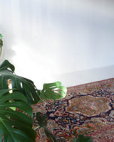 Vintage Turkish rug in a living room setting, pile rug, Turkish rug, vintage rug, portland, rug shop, bright colors, wild shaman, soft rug, bold color, Portland, Oregon, rug store, rug shop, local shop, antique rug