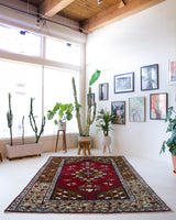 Vintage Turkish rug in a living room setting, pile rug, Turkish rug, vintage rug, portland, rug shop, bright colors, wild shaman, soft rug, bold color, Portland, Oregon, rug store, rug shop, local shop