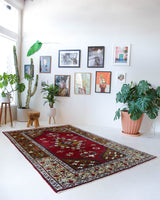 Vintage Turkish rug in a living room setting, pile rug, Turkish rug, vintage rug, portland, rug shop, bright colors, wild shaman, soft rug, bold color, Portland, Oregon, rug store, rug shop, local shop